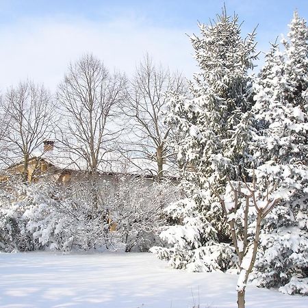 La Corte Del Cavaliere Bed & Breakfast Calderara di Reno Dış mekan fotoğraf